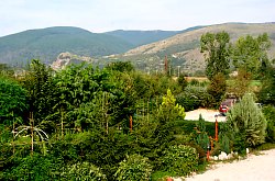 Pensiunea Casa Moteasca - Mini gradina botanica, Cornesti , Foto: WR