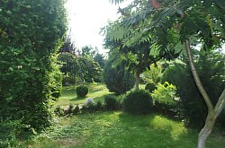 Pensiunea Casa Moteasca - Mini gradina botanica, Cornesti , Foto: WR