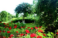 Pensiunea Casa Moteasca - Mini gradina botanica, Cornesti , Foto: WR
