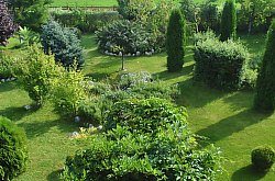 Pensiunea Casa Moteasca - Mini gradina botanica, Cornesti , Foto: WR