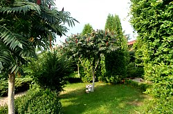 Pensiunea Casa Moteasca - Mini gradina botanica, Cornesti , Foto: WR