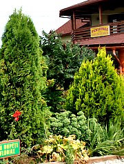 Pensiunea Casa Moteasca - Mini gradina botanica, Cornesti , Foto: WR