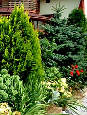 Pensiunea Casa Moteasca - Mini gradina botanica, Cornesti , Foto: WR