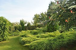 Pensiunea Casa Moteasca - Mini gradina botanica, Cornesti , Foto: WR