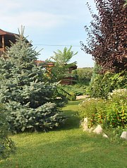 Pensiunea Casa Moteasca - Mini gradina botanica, Cornesti , Foto: WR