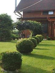 Pensiunea Casa Moteasca - Mini gradina botanica, Cornesti , Foto: WR