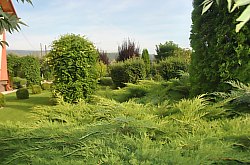 Pensiunea Casa Moteasca - Mini gradina botanica, Cornesti , Foto: WR