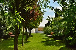 Pensiunea Casa Moteasca - Mini gradina botanica, Cornesti , Foto: WR