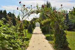 Pensiunea Casa Moteasca - Mini gradina botanica, Cornesti , Foto: WR