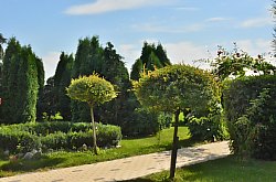 Pensiunea Casa Moteasca - Mini gradina botanica, Cornesti , Foto: WR