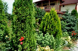 Pensiunea Casa Moteasca - Mini gradina botanica, Cornesti , Foto: WR