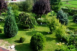 Pensiunea Casa Moteasca - Mini gradina botanica, Cornesti , Foto: WR