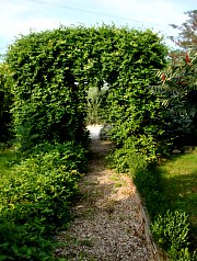 Pensiunea Casa Moteasca - Mini gradina botanica, Cornesti , Foto: WR