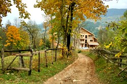 Pensiunea Craiul, Vidra , Foto: WR