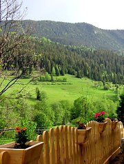 Pensiunea Craiul, Vidra , Foto: WR