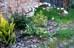 Pensiunea Vigh, Rimetea , Foto: WR