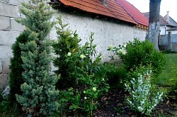 Pensiunea Vigh, Rimetea , Foto: WR