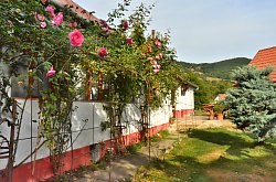 Pensiunea Vigh, Rimetea , Foto: WR