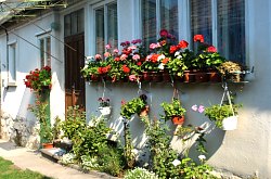 Pensiunea Klara, Rimetea , Foto: WR