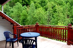 Pensiunea President, Brazesti , Foto: WR