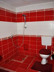 Pensiunea Shanti Travel, Brazesti , Foto: WR