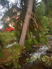 Pensiunea Rodica, Arieseni , Foto: WR