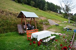 Cabana Andreea, Arieseni , Foto: WR