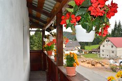 Cabana Andreea, Arieseni , Foto: WR