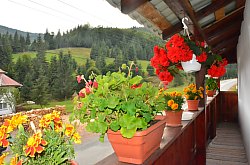 Cabana Andreea, Arieseni , Foto: WR