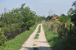 Casa Natalia, Moldovenesti , Foto: WR