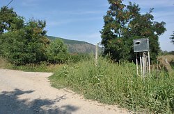 Casa Natalia, Moldovenesti , Foto: WR