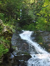 Cascada Patrahaitesti, Arieseni , Foto: WR