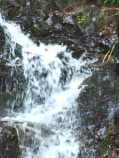 Cascada Patrahaitesti, Arieseni , Foto: WR