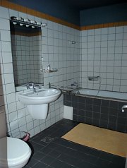 Pensiunea Larix, Salciua , Foto: WR