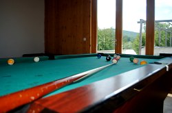 Pensiunea Larix, Salciua , Foto: WR