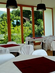 Pensiunea Larix, Salciua , Foto: WR