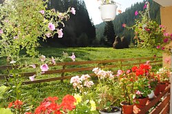 Cazare Garda de Sus, Pensiunea Marian, Foto: WR