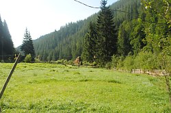 Cazare Garda de Sus, Pensiunea Marian, Foto: WR