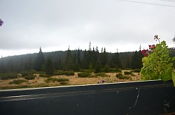 Cabana Buscat, Muntele Baisorii , Foto: WR