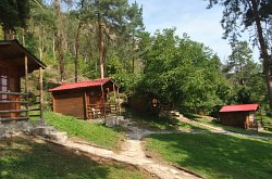 Pensiunea Carla, Moldovenesti , Foto: WR