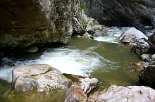 Vanatarile ponorului , Fotó: Csupor Jenő