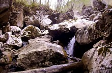 Vanatarile ponorului , Fotó: Florin Coman