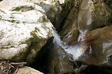 Vanatarile ponorului , Fotó: WR