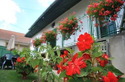 Pensiunea Kristály, Rimetea , Foto: WR