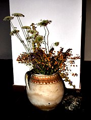 Cazare Rimetea: Pensiunea Torocko, Foto: WR