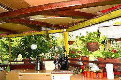 Casa de vacanta Bianca, Vidra , Foto: WR