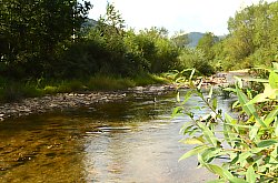 Casa de vacanta Bianca, Vidra , Foto: WR