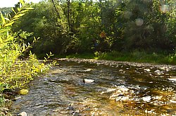 Casa de vacanta Bianca, Vidra , Foto: WR