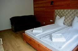 Pensiunea Armonia, Albac , Foto: WR