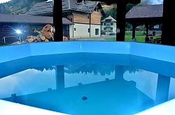 Pensiunea Armonia, Albac , Foto: WR